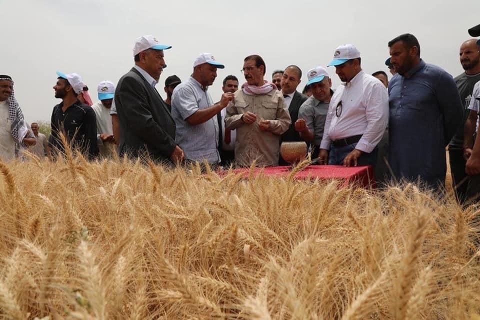 وزير الزراعة: تحقيق إنجاز هو الأول من نوعه “في تاريخ العراق”